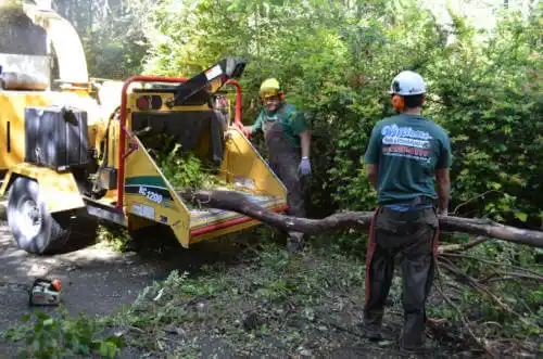 tree services Sherrard